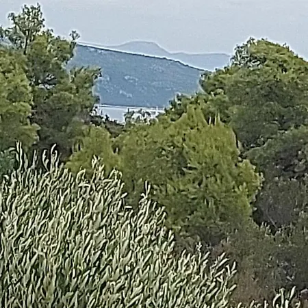 Holiday home Bijela Kuca