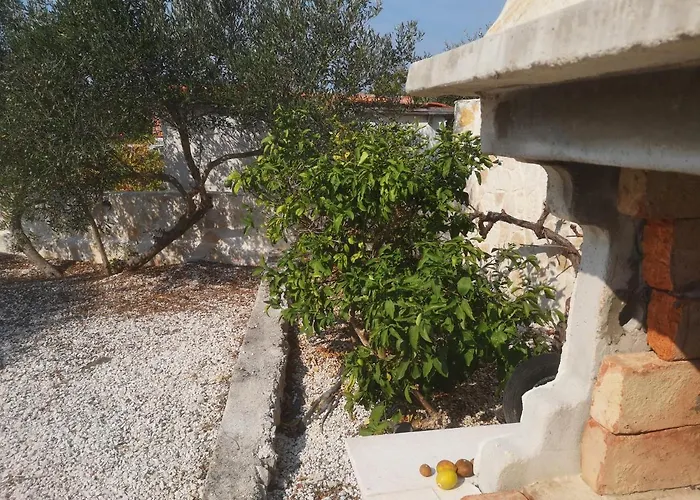Bijela Kuca * מאלי דרבניק